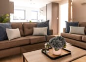 Thumbnail 8 of 8 - Boutique Exeter, student accommodation in Exeter