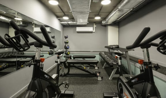 a gym with various bikes and weights in it