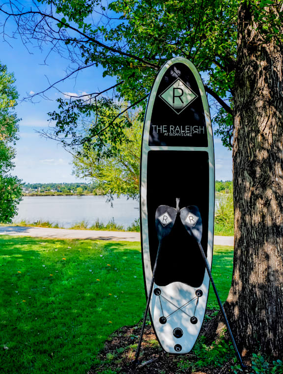 A surfboard with the letter R on it is leaning against a tree.