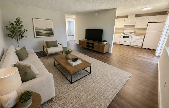A living room with a couch, a coffee table, and a television.