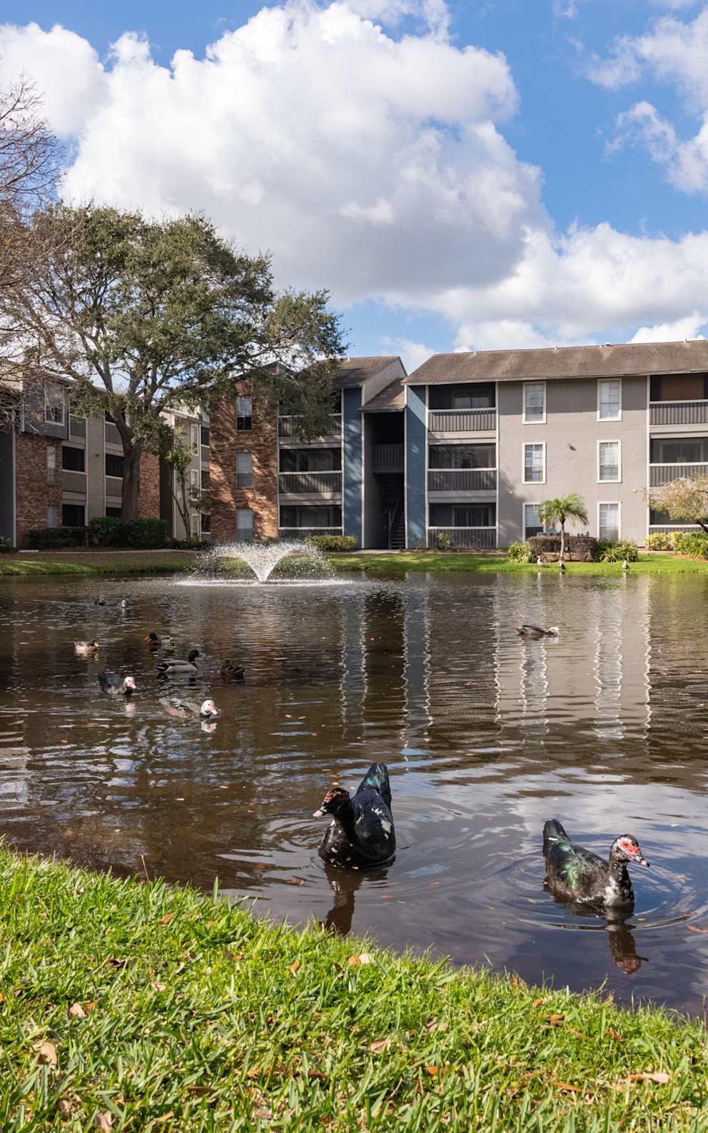 Arbour Ponds Apartments 50 of 59