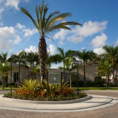 a roundabout with a palm tree in front of a building