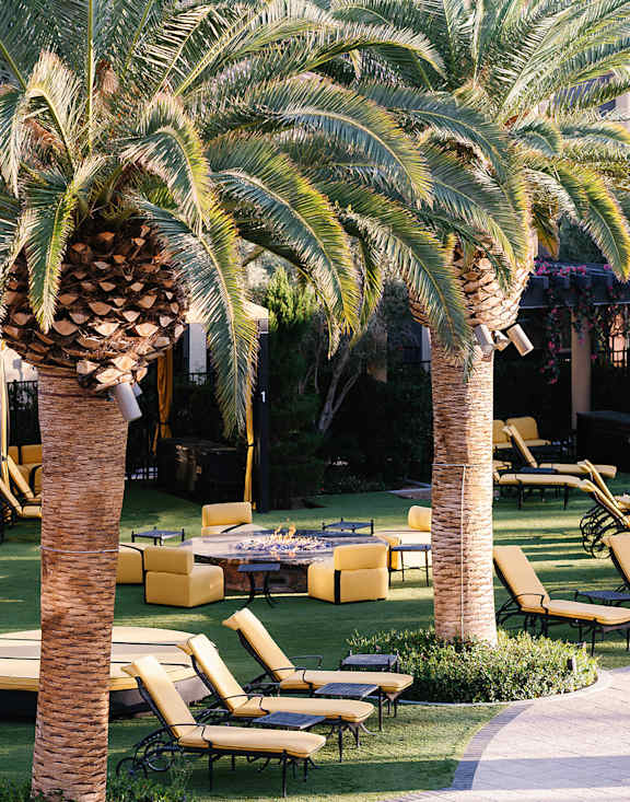 Palm trees and lounge chairs are arranged around a pool.