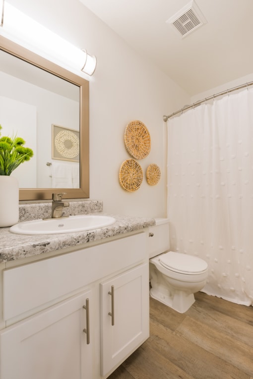 a bathroom with a white shower curtain and a white toilet