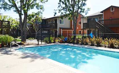 Pool at Village Grove
