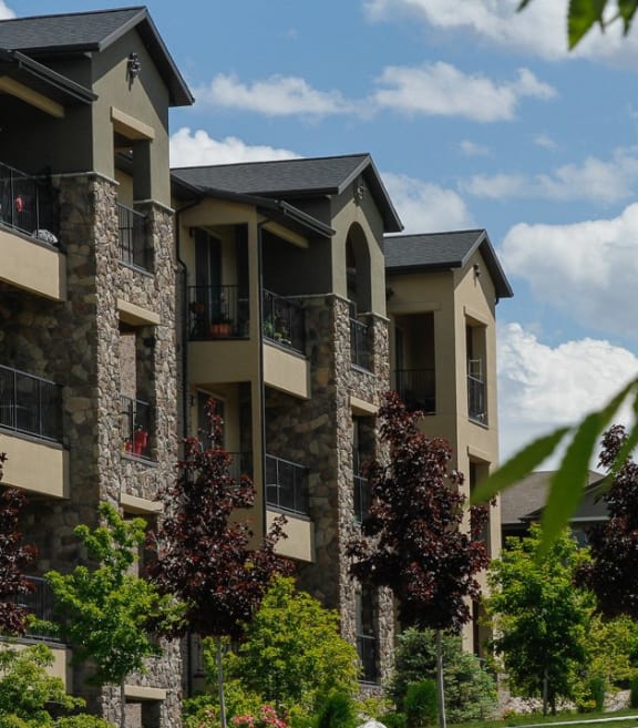 a row of apartment buildings with trees in front of them