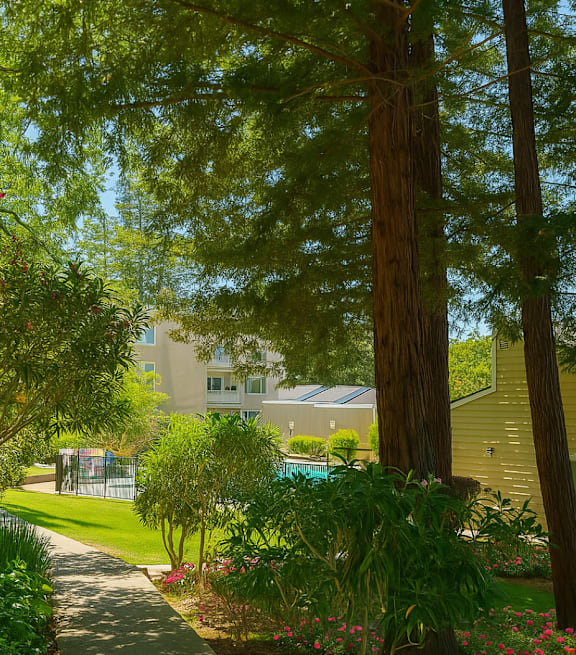 A tree in a yard with a house in the background.