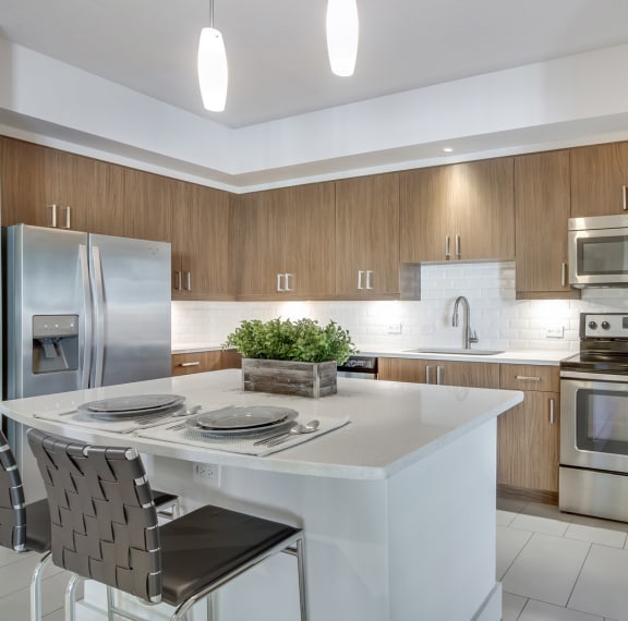 Chef-Inspired Kitchens with Quartz Counters and Stainless Steel Appliances at Windsor at Doral, 4401 NW 87th Avenue, Doral
