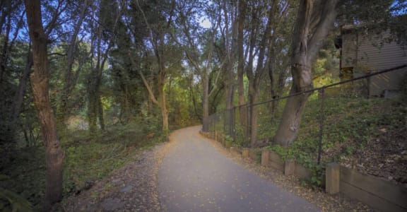 a path with trees on both sides and leaves on the ground