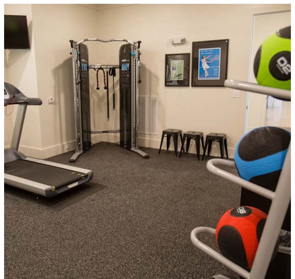 A gym with a treadmill, a squat rack, and a bench.