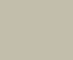 A plain beige background with no distinguishable features.