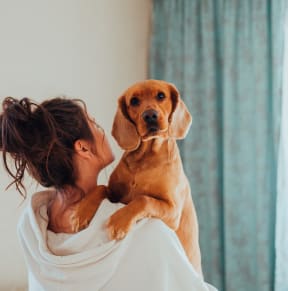 a woman playing with a dog