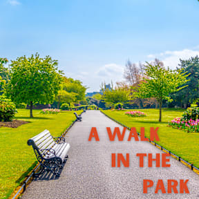 A walk in the park with a bench on the side.