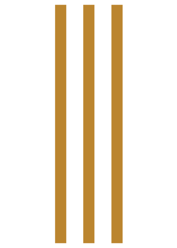 Three vertical bars of equal height with a black background.
