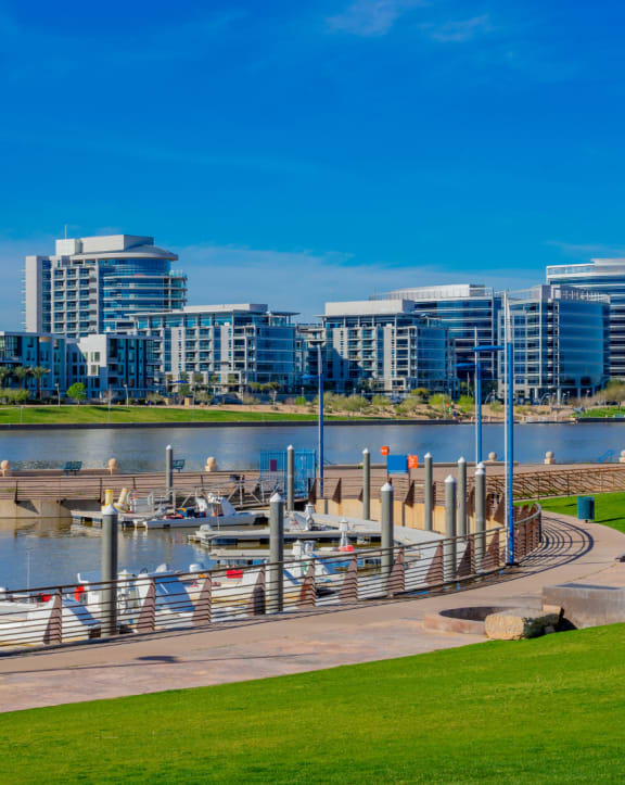 a view of the marina with the city in the background