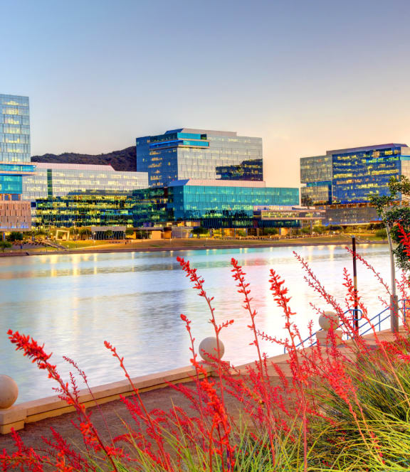 a view of the skyline of the city of rapid city at sunset