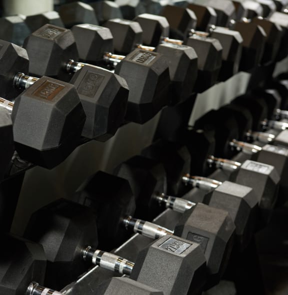 a row of weights in a gym