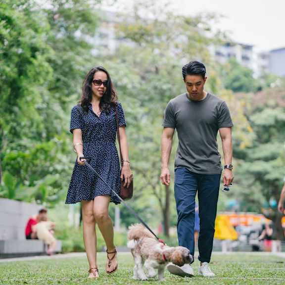 A man and woman walking a dog in a park.