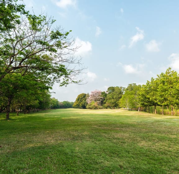 a large grassy field with trees and a blue sky