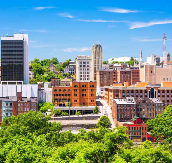 a view of the city of providence with buildings and trees