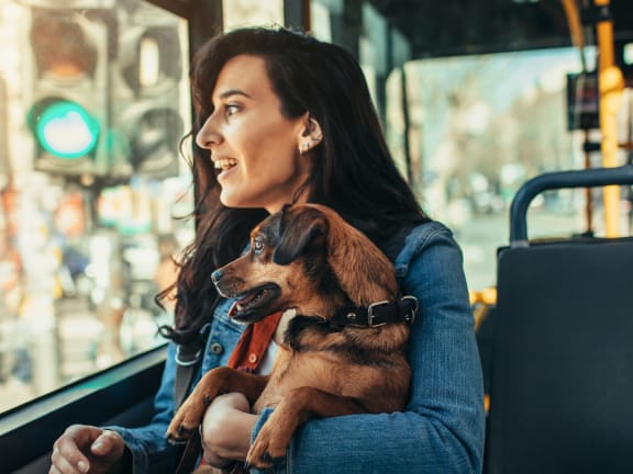 a woman riding a bus with her dog on her lap