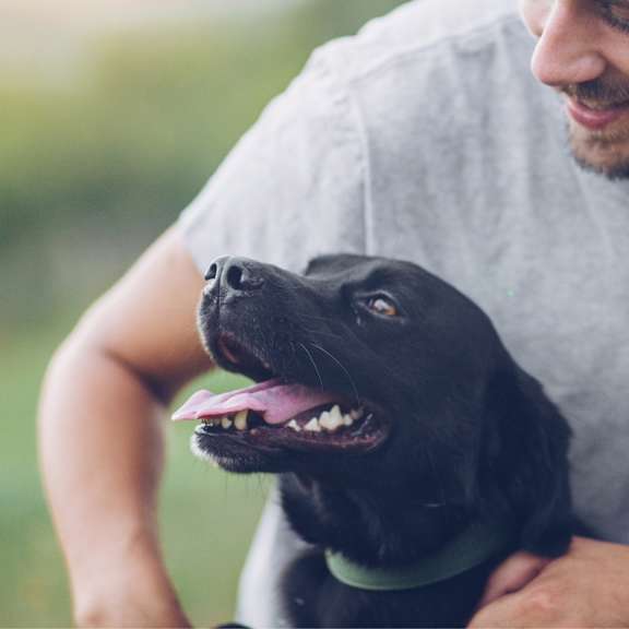 Man playing with his dog at Sky Vue Apartments, Washington, 98229