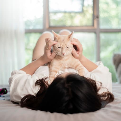 a woman laying on a bed holding a cat at The Constellation Apartments, PRG Real Estate, Hampton, VA, 23669