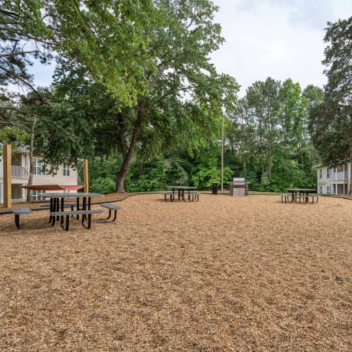 a picnic area with benches and trees in a park