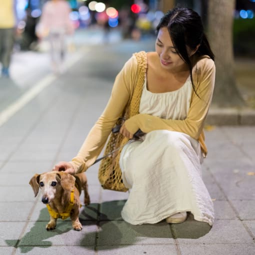 a woman sitting on the sidewalk with her dog