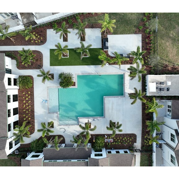 A swimming pool surrounded by palm trees and a white building.