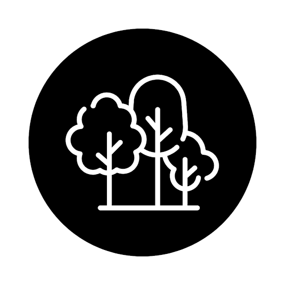 A black and white image of three trees.