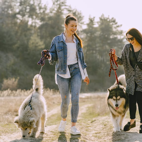 three women walking their dogs on a path at The Villages of Banyan Grove, Boynton Beach, FL, 33436