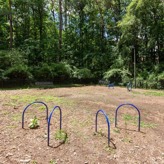 a park with a playground and some trees