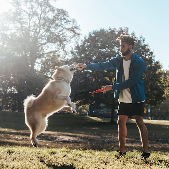 a man and his dog playing with a frisbee at Beacon Ridge Apartments, Greenville, SC, 29615