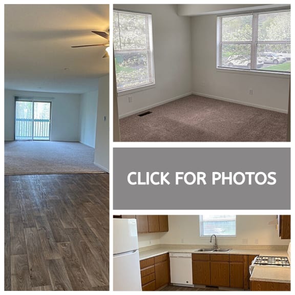 Floor Plans of Meadow Stone Apartments in Hastings, MI