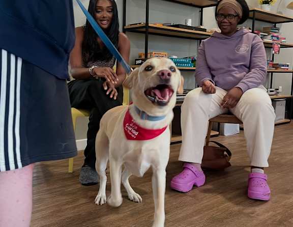 A dog with a red bandana around its neck is sitting in a room with two people.