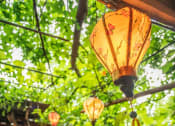 Thumbnail 8 of 10 - Lanterns Hanging From Trees