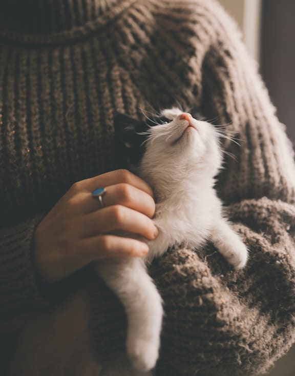 A person in a beige sweater holds a white and black cat.