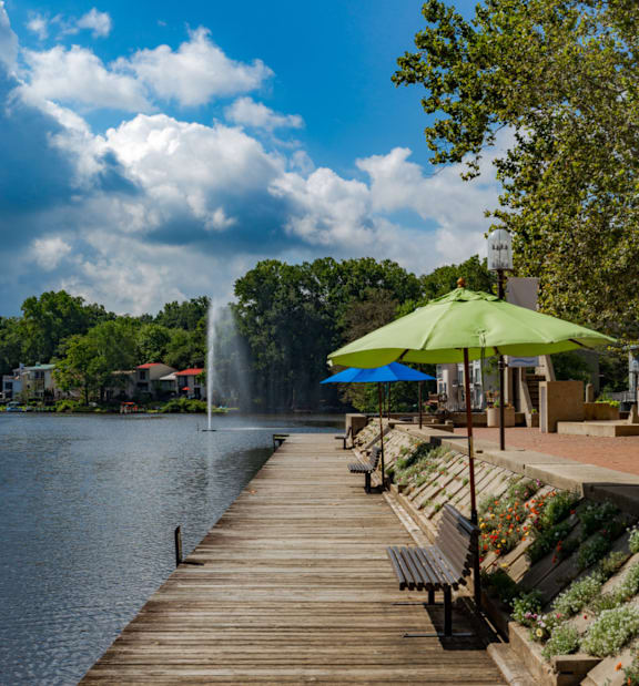 Beautiful Lake View