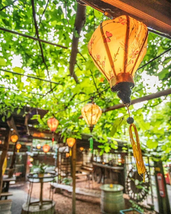 Lanterns Hanging From Trees