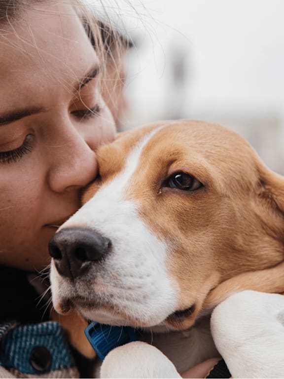 A woman is hugging a dog with a blue collar.