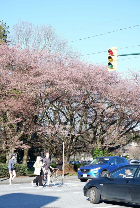 people crossing the street at an intersection with a traffic light