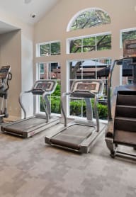 a gym with cardio equipment and weights on the floor and a window