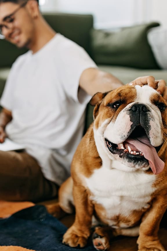 A man is sitting on a couch with his dog.