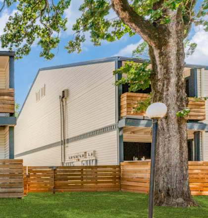 a backyard with a tree and a swimming pool