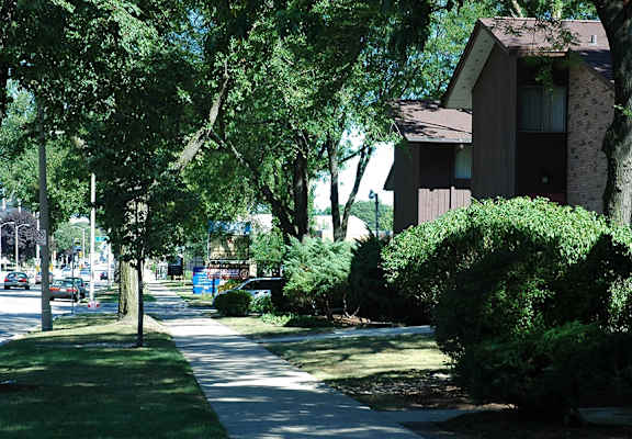 A tree-lined street with apartment buildings on the right.