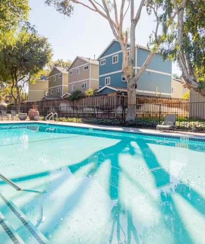 A swimming pool surrounded by trees and buildings.