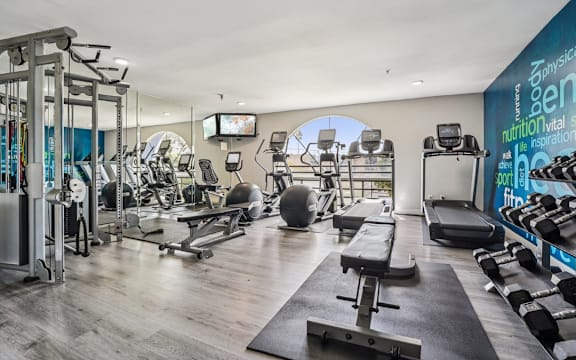 A gym with a variety of equipment including weights, a bench press, and a treadmill.