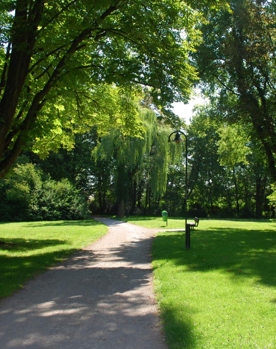 A pathway in a park with trees on both sides.