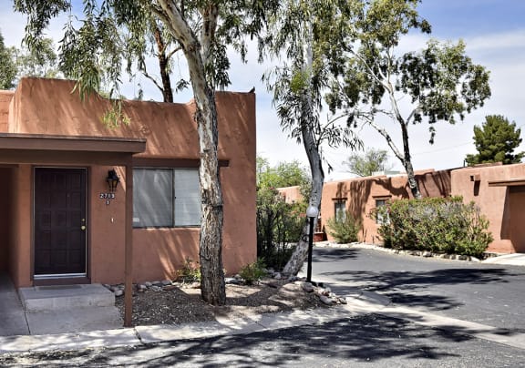 Brown House at San Xavier Casitas, Tucson